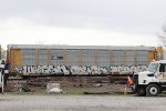 TTGX 707157